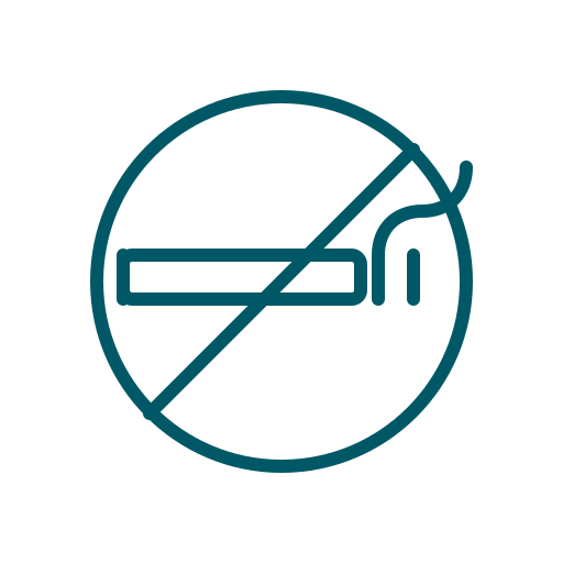 A no smoking symbol, featuring a cigarette with a diagonal line crossing it, indicating prohibition.